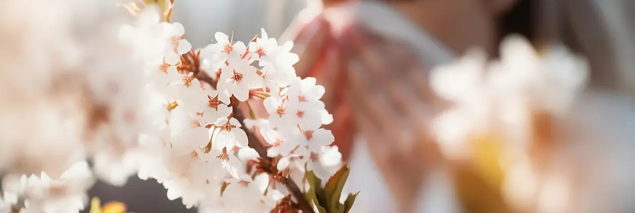 acupuncture and hay fever